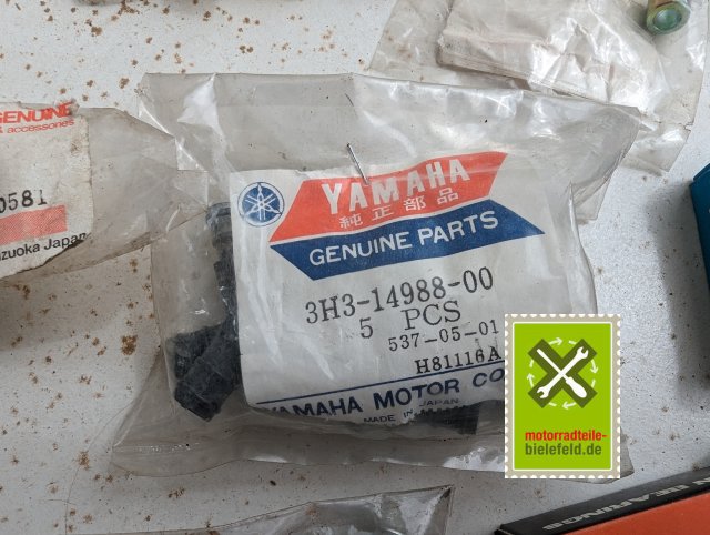 PXL_20240518_102402801